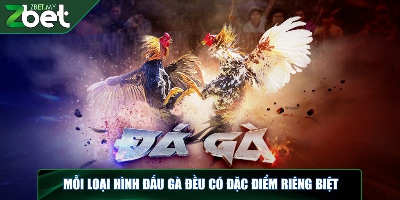 Mỗi loại hình đấu gà đều có đặc điểm riêng biệt