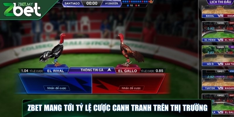 ZBET mang tới tỷ lệ cược canh tranh trên thị trường