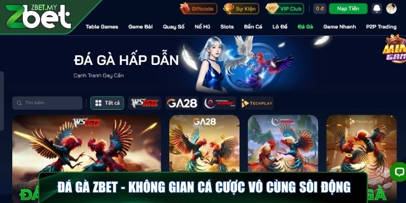 Đá gà ZBET - Không gian cá cược vô cùng sôi động