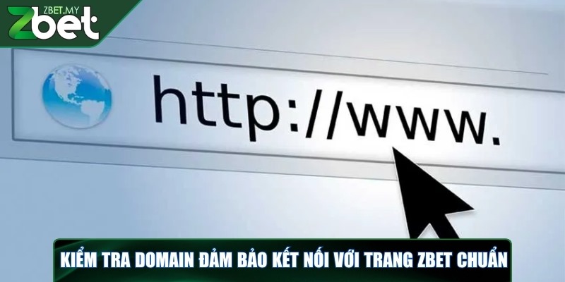 Đăng ký ZBET - Hướng dẫn cách tạo tài khoản nhanh chóng 3 Cần kiểm tra domain đảm bảo kết nối với trang ZBET chuẩn