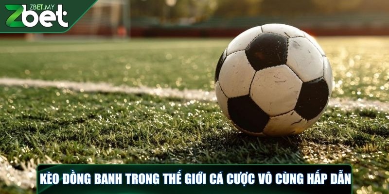 Kèo đồng banh - Cách chơi kèo chuẩn như chuyên gia tại ZBET 2 Kèo đồng banh trong thế giới cá cược vô cùng hấp dẫn