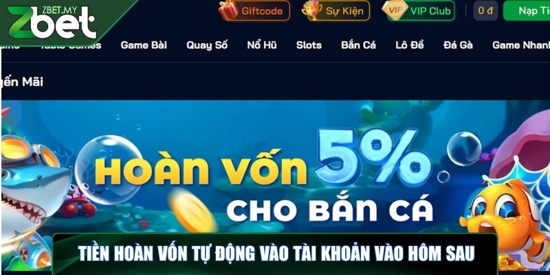 Khuyến mãi ZBET – Tổng hợp các sự kiện ưu đãi có tại nhà cái 2 Tiền hoàn vốn sẽ được tự động cập nhật vào tài khoản vào hôm sau