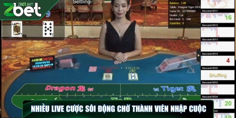 Nhiều live cược sôi động chờ thành viên nhập cuộc